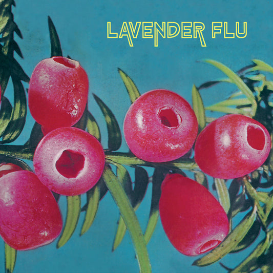 LAVENDER FLU – Mow The Glass LP