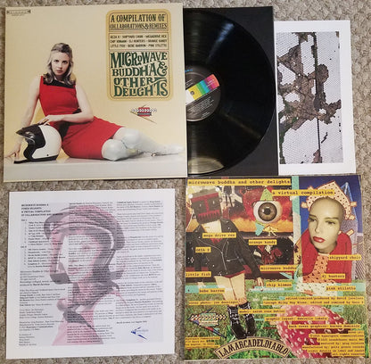 V/A – Microwave Buddha & Other Delights • A Virtual Compilation Of Collaborations & Remixes LP