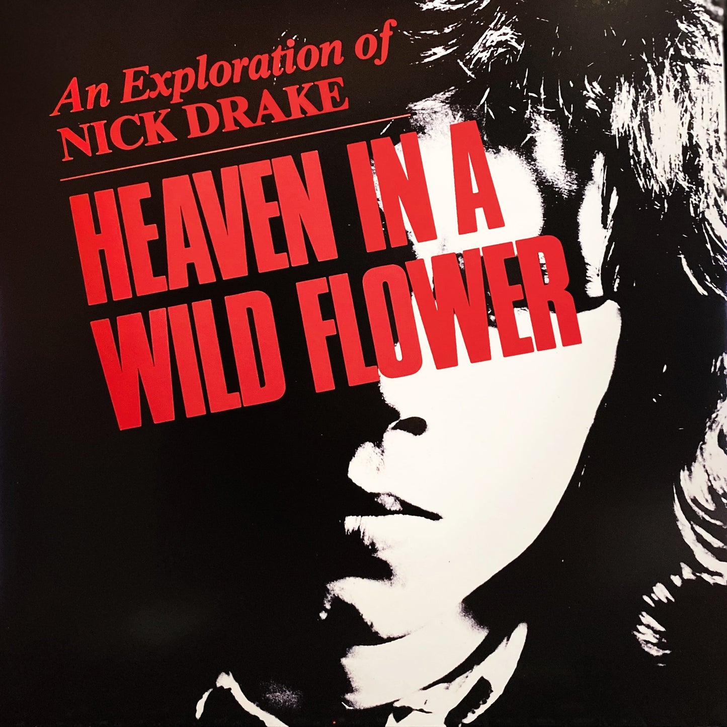 NICK DRAKE – Heaven In A Wild Flower - An Exploration Of Nick Drake LP