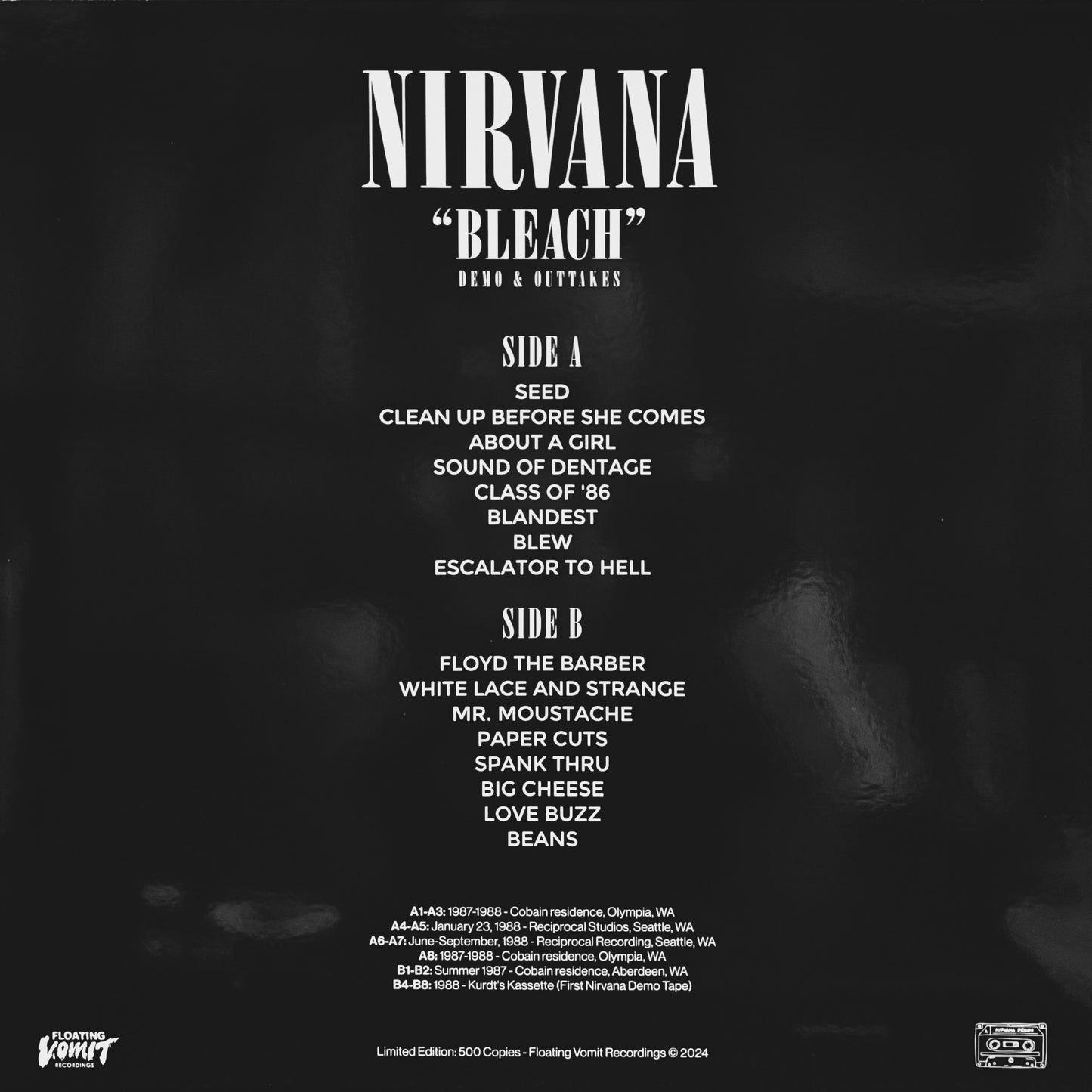 NIRVANA – Bleach Demo & Outtakes LP
