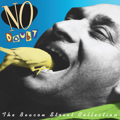NO DOUBT – The Beacon Street Collection LP