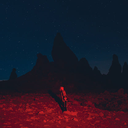 PHOEBE BRIDGERS – Punisher LP