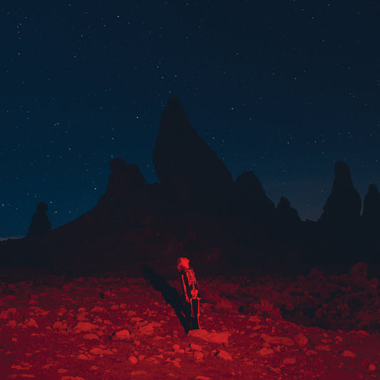 PHOEBE BRIDGERS – Punisher LP