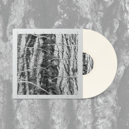SCARCITY – Aveilut LP (white vinyl)