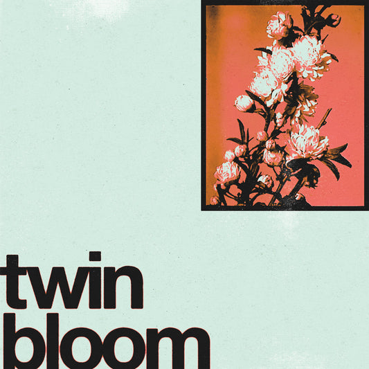 TWIN BLOOM – S/T LP