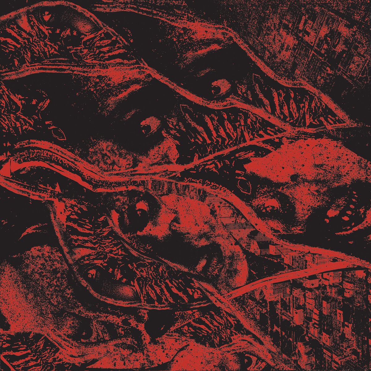 VERMIN WOMB – Retaliation LP (cloudy red vinyl) – CITY NOISE