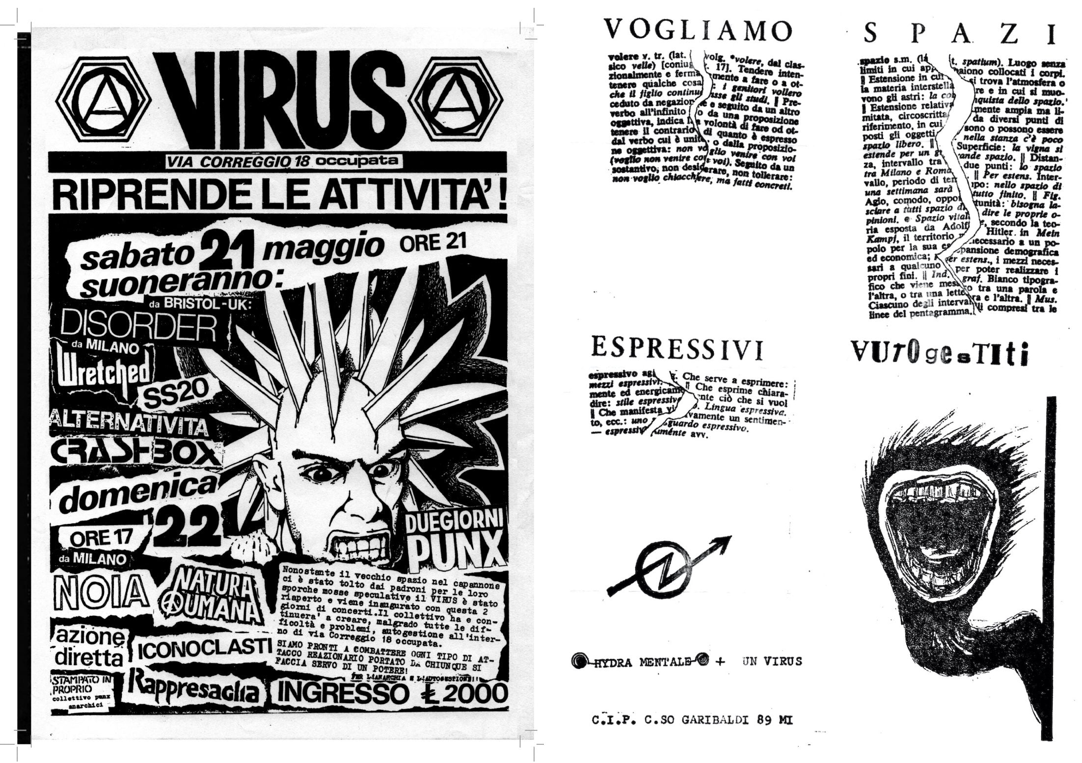 Virus: il punk è rumore (Punk is Noise) 1982-1989 by Marco Teatro