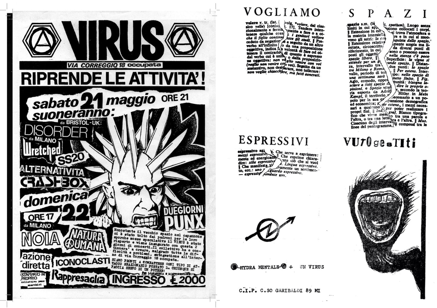 Virus: il punk è rumore (Punk is Noise) 1982-1989 by Marco Teatro / Giacomo Spazio