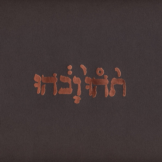 GODSPEED YOU! BLACK EMPEROR – Slow Riot For New Zero Kanada 12" EP